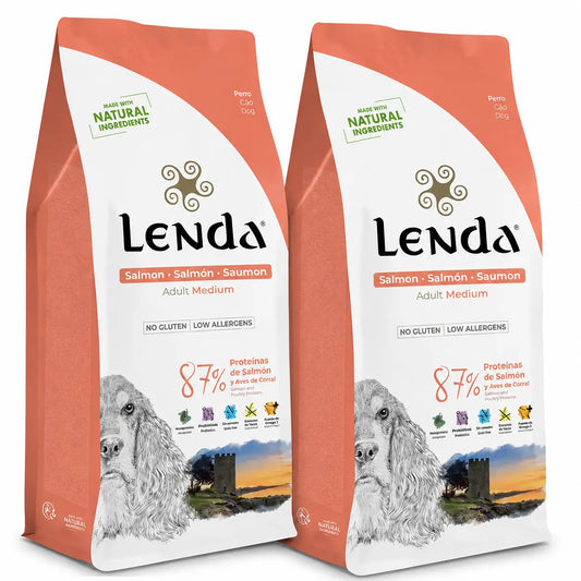 Lenda Aikuisten koirien lohi, 2 x 2 kg