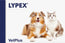 Lypex Dogs & Cats, 60 Capsules