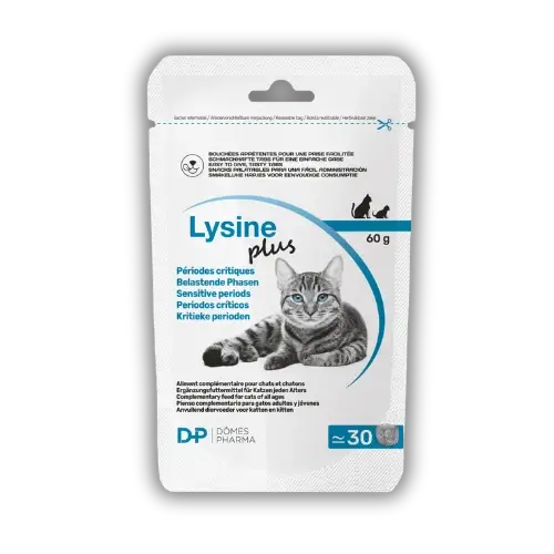 Lysine Plus 30 välipalaa, 2 g 