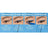 Maybelline New York Hyper Precise -silmärajauskynä, tarkka, pitkäkestoinen, vedenkestävä, sävy Parrot Blue