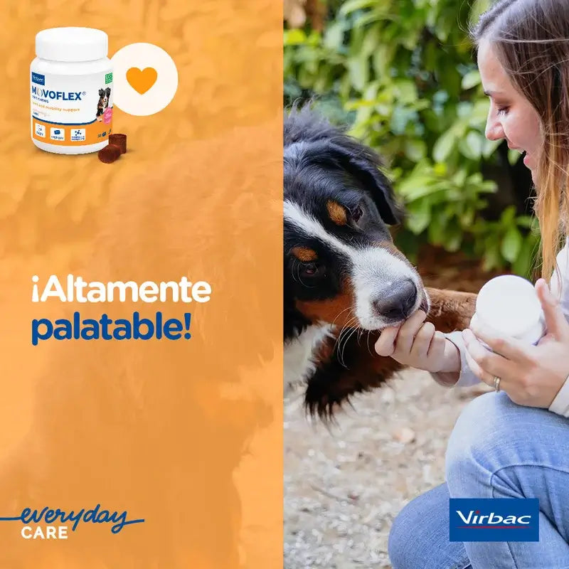 Movoflex - nivelten suojaava valmiste keskikokoisille koirille (15–35 kg), 30 tablettia