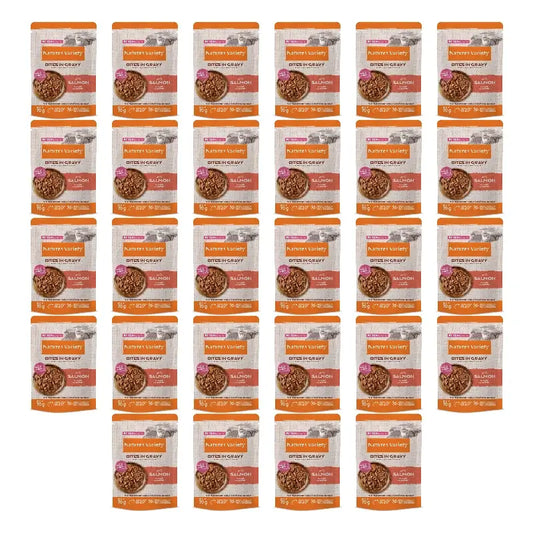 Nature'S Variety kissan märkäruoka, lohilla, yksittäispakkaus, 28 x 70 g