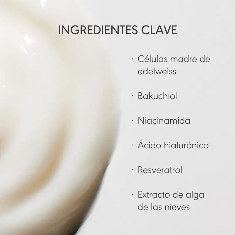 Nieves By Nieves Álvarez Absolute Lift Cream -kasvovoide, 50 ml