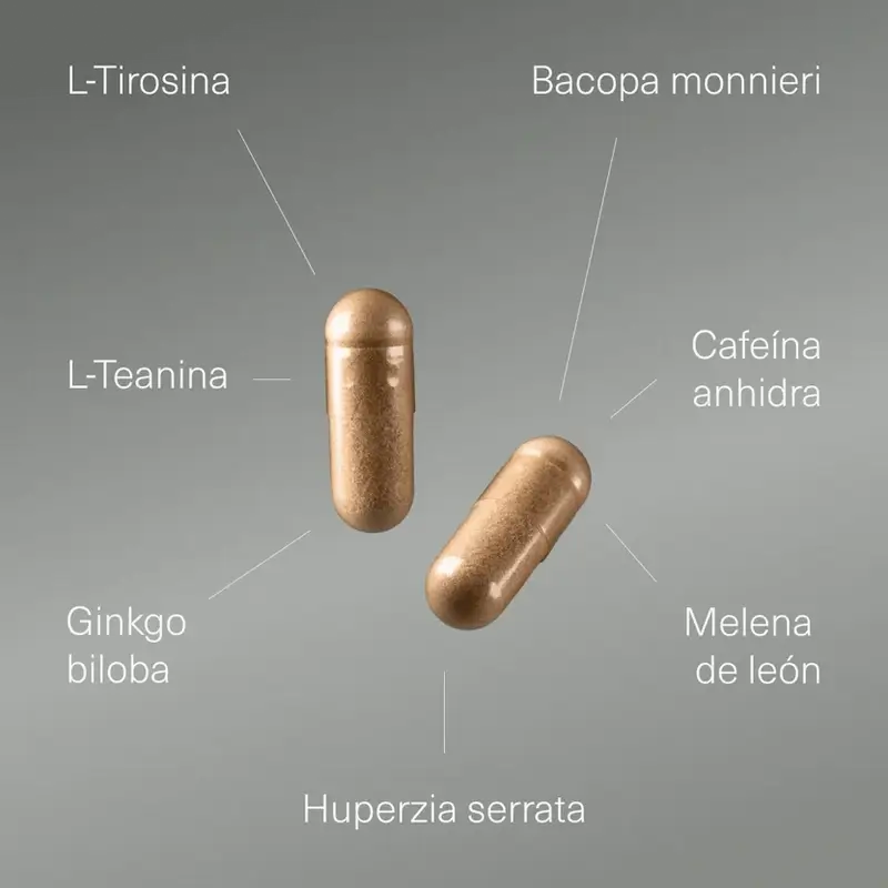 Aldous Labsin nootropiini, jossa on ginkgo bilobaa, leijonankarvaa, kofeiinia, bacopaa, tyrosiinia, teaniinia ja huperziini A:ta