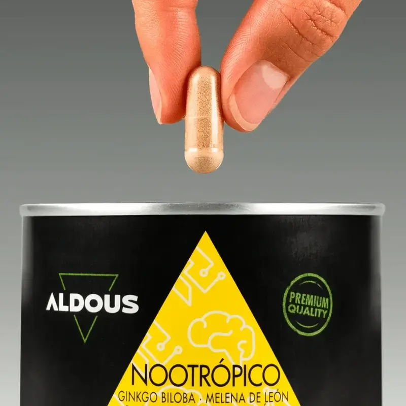 Aldous Labsin nootropiini, jossa on ginkgo bilobaa, leijonankarvaa, kofeiinia, bacopaa, tyrosiinia, teaniinia ja huperziini A:ta