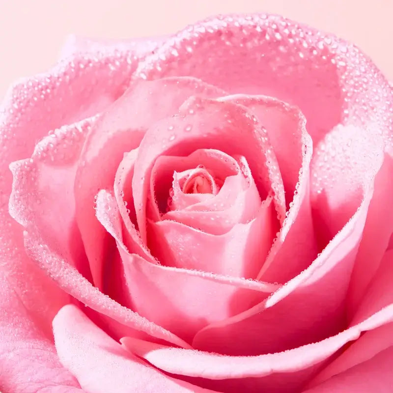 Nuxe Very Rose -huulivoide