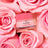 Nuxe Very Rose -huulivoide