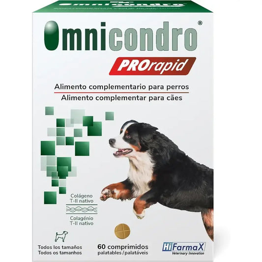 Omnicondro Prorapid, 60 tablettia