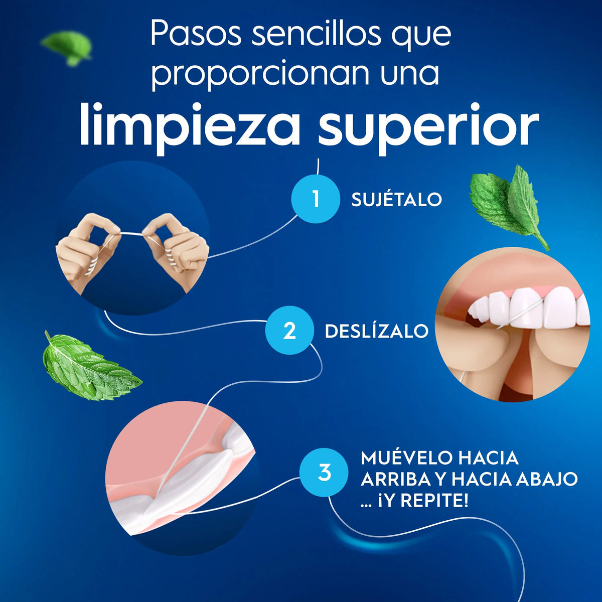 Oral-B Essencial hammaslanka, vaha/minttu, 50 mt