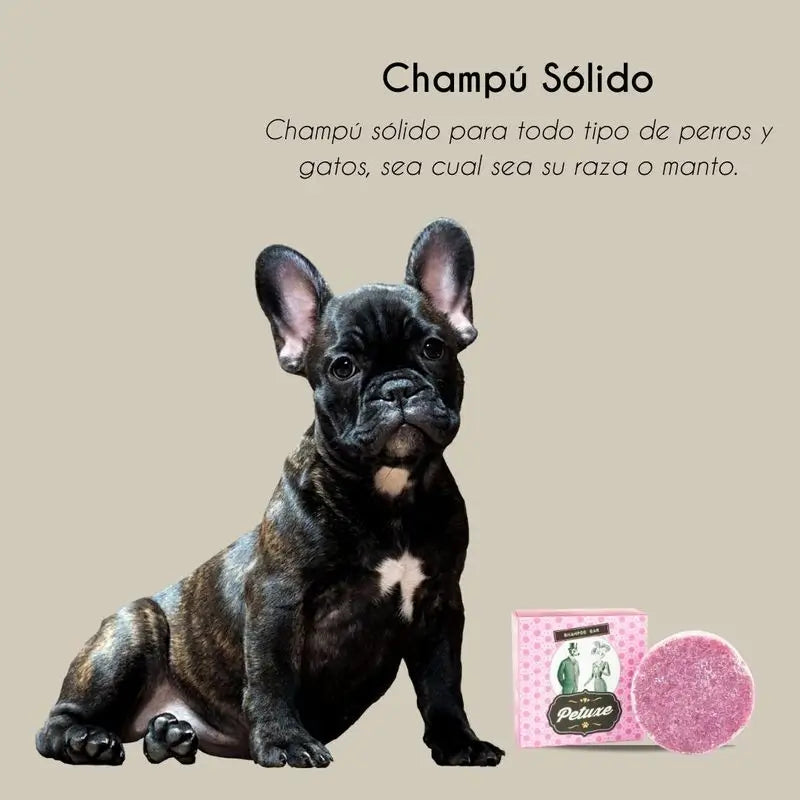 Petuxe kiinteä shampoo kaikille roduille, 50 grammaa