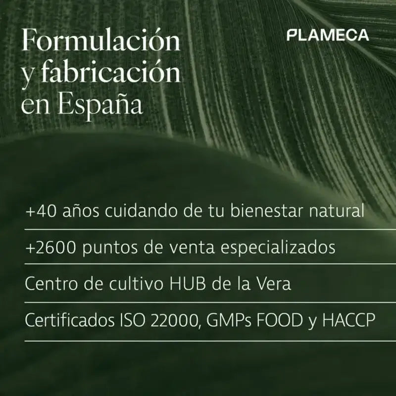 Plameca Ber-Detox, mansikanmakuinen, 250 ml