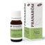 Pranarom Essential Oil Rosemary qt Cineol Bio, 10ml