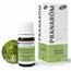 Pranarom Essential Oil Sandalwood Yellow Bio, 5ml