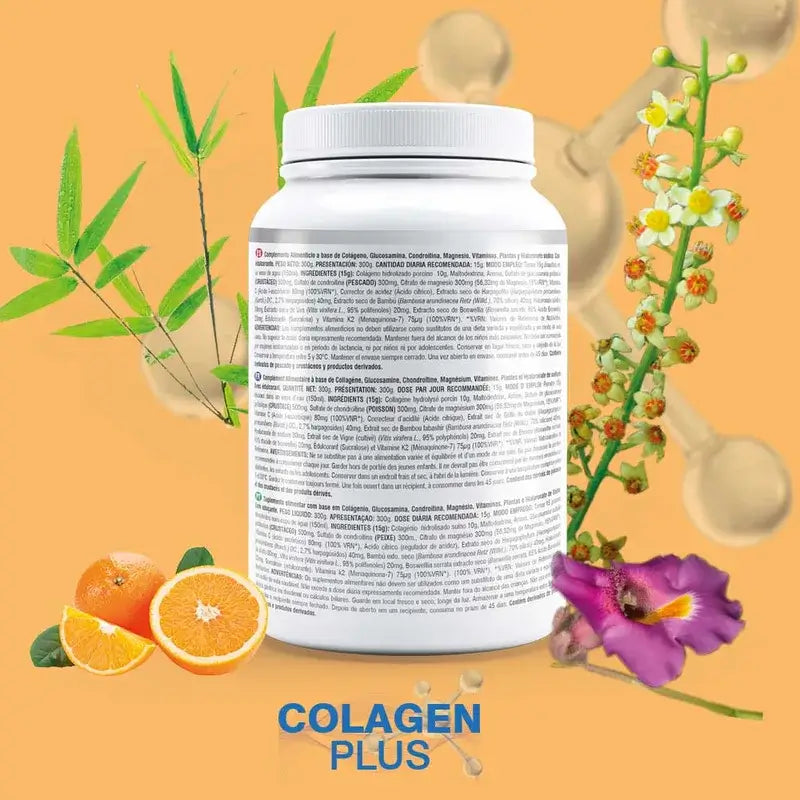 Prisma Natural Sianliha Collagen Plus Flexiplus, 300 g