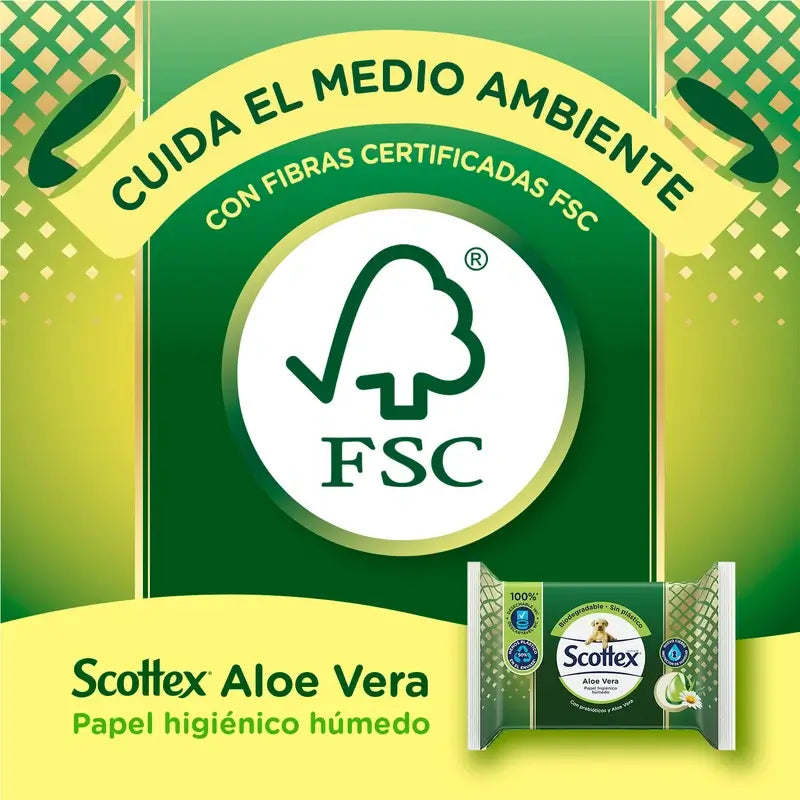 Scottex Aloe Vera -kosteuspyyhkeet, 66 kpl