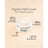 Sensilis Sensilis Peptide [Ar] Sorbet-voide, kiinteyttävä vaikutus, normaali ja sekaiho, 50 ml