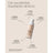 Sensilis Upgrade Make Up -voide meikki, kohottava vaikutus, 01 Beige, 30 ml