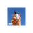 Freshly Shield 360º vaalea väriseerumi 30 ml