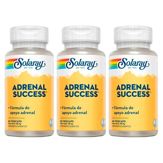 Solaray Adrenal Success -ravintolisäpakkaus, 3 x 60 kapselia