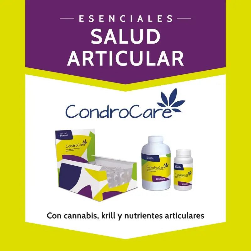 Stangest Condrocare 30 tablettia