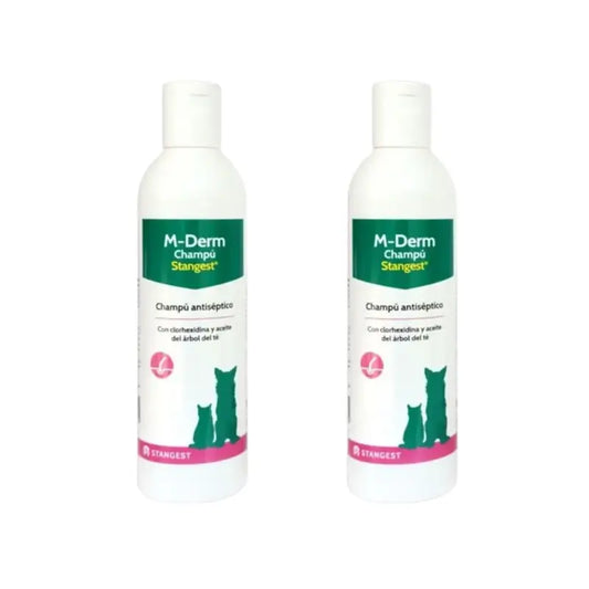 Stangest M-Derm -shampoo, 2 x 250 ml