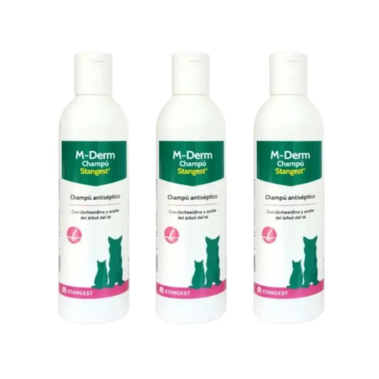 Stangest M-Derm -shampoo, 3 x 250 ml