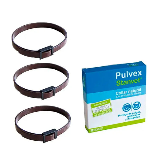 Stangest Pulvex -kaulapanta, 3 kpl:n pakkaus