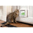 Sure PetCare SureFlap – Valkoinen kissanluukku mikrosirulla