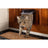 Sure PetCare SureFlap – Ruskea kissanluukku mikrosirulla