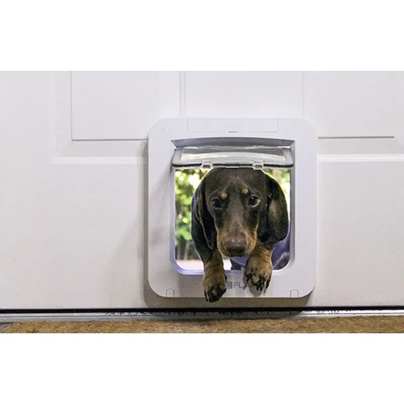 Sure PetCare SureFlap – Lemmikkien ovi, jossa on mikrochip Connect + Hub