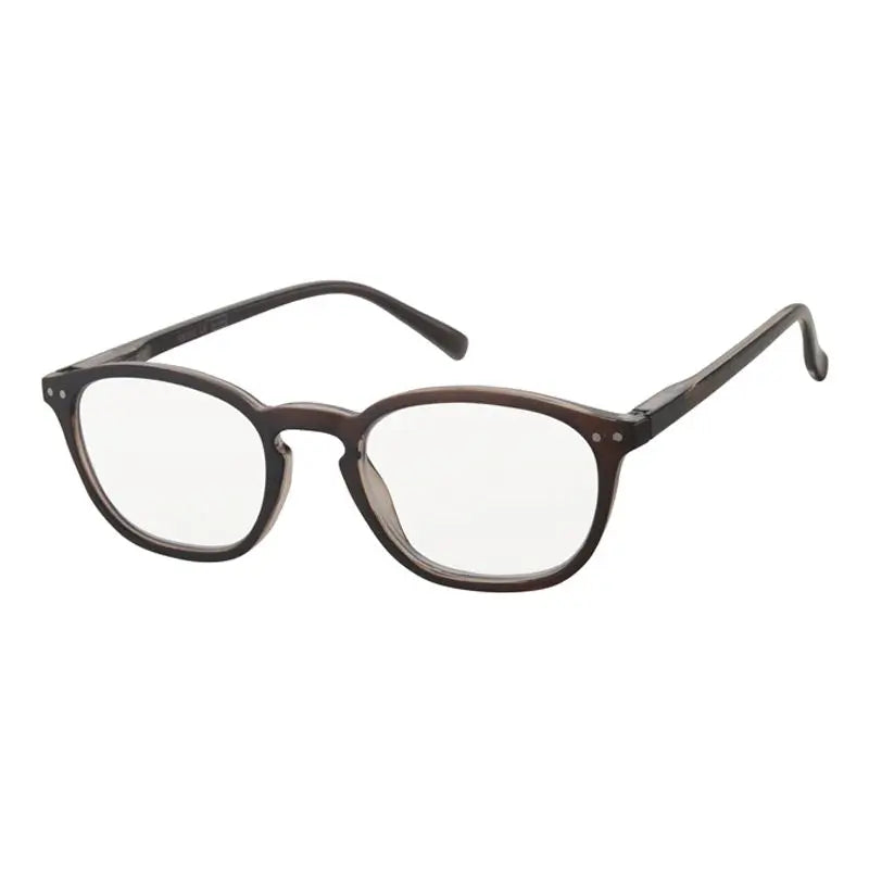 Surgicalmed Euro Optics Halo Presbyopia Reading Glasses (Brown with Silver Decoration) (+2.50) Brown with Silver Decoration, 1 piece
