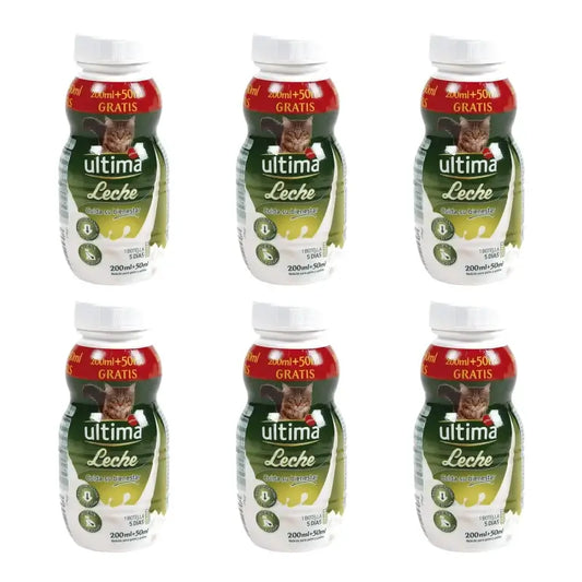 Ultima-maito kissoille ja kissanpennuille, 250 ml, 6 kpl:n pakkaus