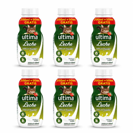 Ultima-maito kissoille ja kissanpennuille 6 x 250 ml