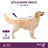 Vectra 3D Koira +40 kg, 3 pipettia