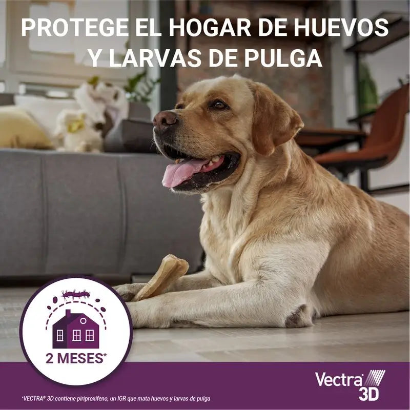 Vectra 3D Koira +40 kg, 3 pipettia