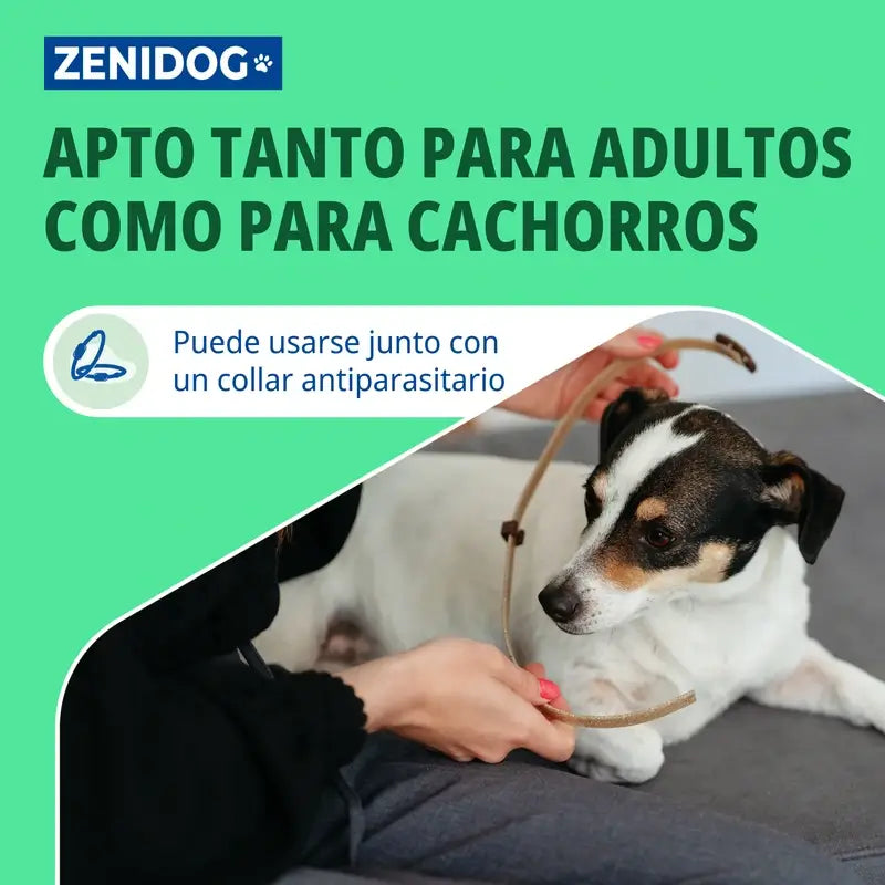 Virbac Zenidog -kaulapanta S 