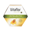 Vitaflor Intelecto 20 ampullia