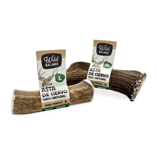 Wild Balance - Koko hirvensarvi M – luonnollinen purulelu koirille