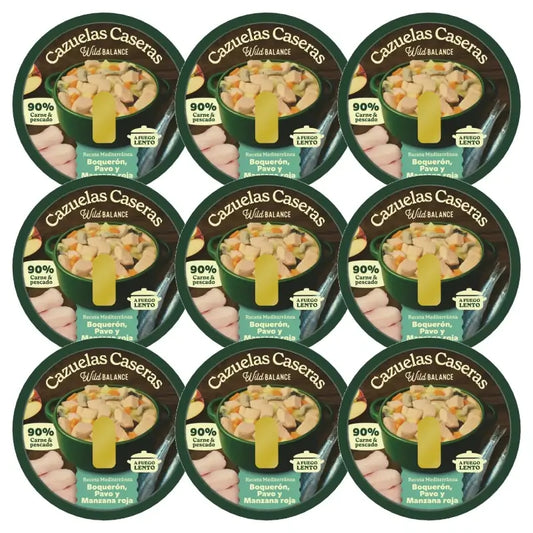 Wild Balance Kotitekoinen pataruoka: anjovis, kalkkuna ja omena 9 x 280 g