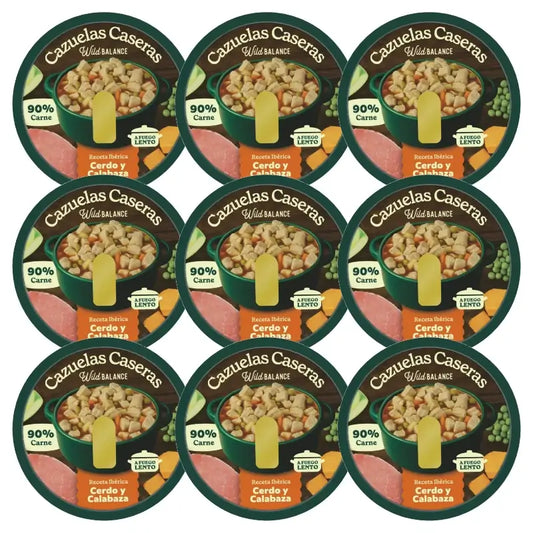Wild Balance Kotitekoinen sianliha- ja kurpitsapata 9 x 280 g