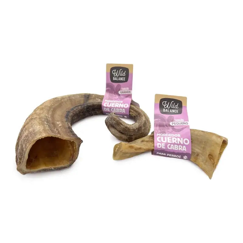 Wild Balance: Pieni, luonnollinen vuohen sarvi -purulelu koirille