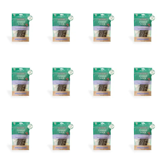 Wild Balance Snacks -hammashoitotikku plakin poistoon, 7 tikkua, 12 kpl:n pakkaus