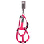 Wouapy Harness Basic Line Fuchsia 25Mm/63-97Cm