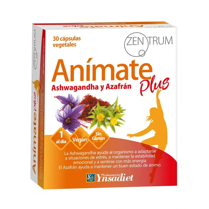 Ynsadiet Animate Plus. Stressi, mieliala ja energia, 30 kapselia