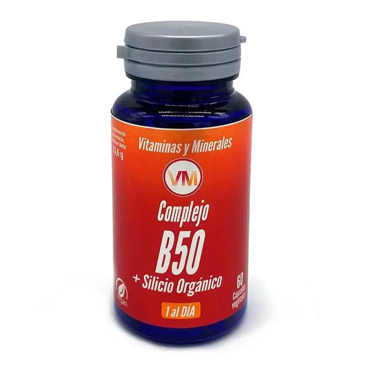 Ynsadiet B50-kompleksi + pii, 60 kapselia.