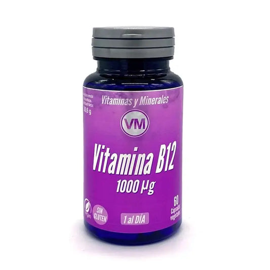 Ynsadiet B12-vitamiini 1000 µg, 60 kapselia.