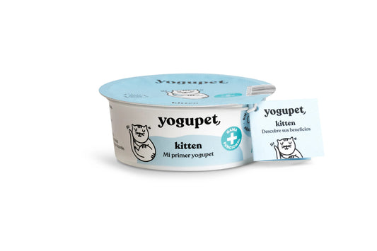 Yogupet toiminnallinen jogurtti kissanpennuille 4 x 110 g 
